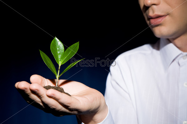 Image of human hand with green sprout at background of man
