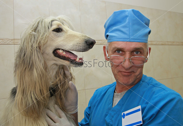 Smiling veterinarian doctor and Afghan Hound.