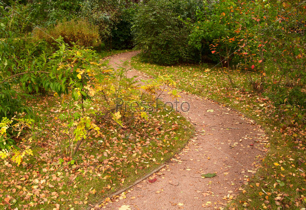 Meandering path in the park in Autumn