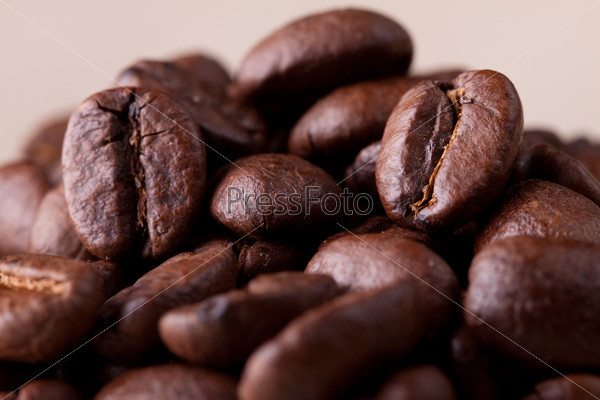 coffee grains