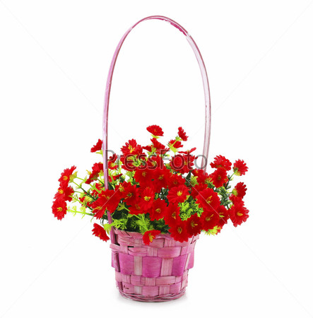 Hanging Basket with Flowers Isolated on White\
Background