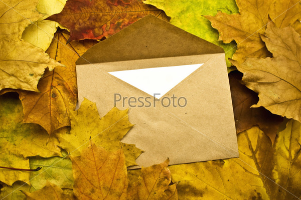 Envelope with the letter on autumn foliage