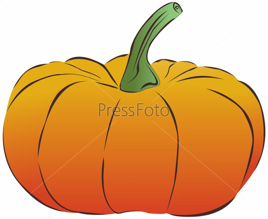 Vector pumpkin for halloween design