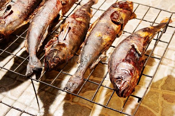 Image of grilled fish on hot barbecue bars