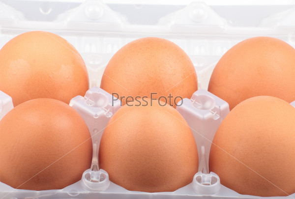 Chicken egg in plastic case