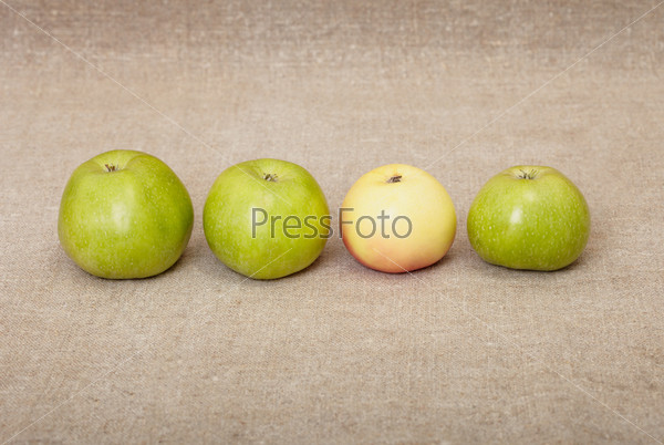 Four ripe apples against drapery
