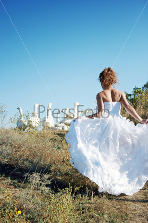 Bride with white birds
