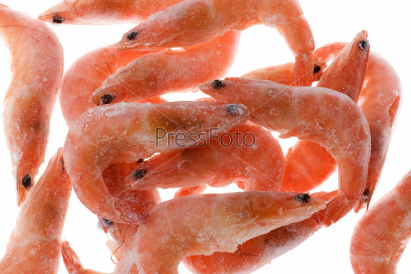 object on white - Frozen shrimp close up