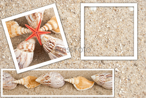 Beautiful background in the form of sand and shells in frames