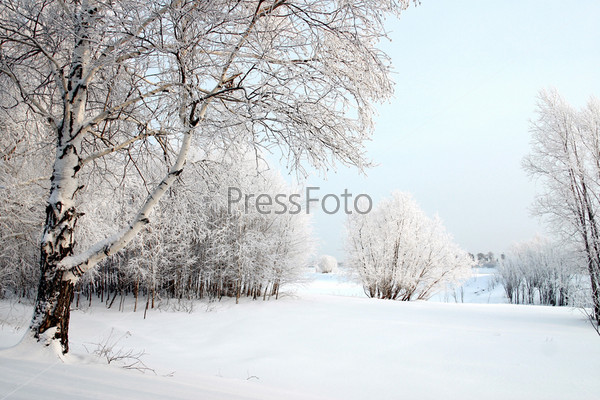 The Winter. The Freezing day. The Snow rests upon the land and tree.