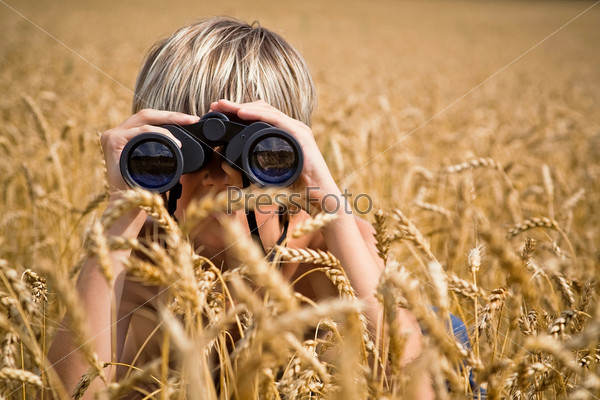 Мальчик, наблюдающий за природой, в золотом поле пшеницы