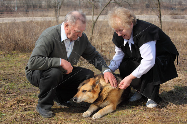 Elderly pair caresses a dog