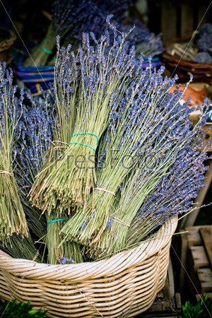 Dry Lavender Bunches in basket for Sale at street market
