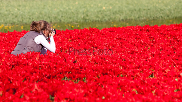 Girl photographer making pictures of flowers. Spring in the Netherlands