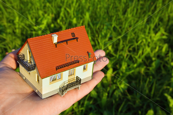 house with garage on palm on background of the herb