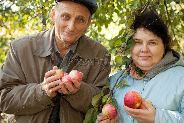 Middle-aged man and woman stand under tree and hold apples in hands