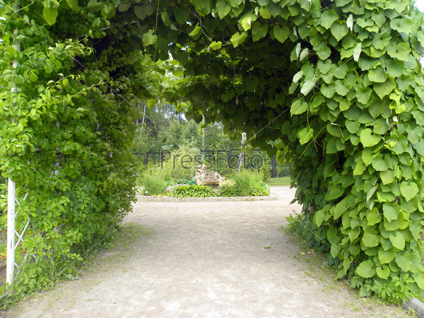Зеленая арка