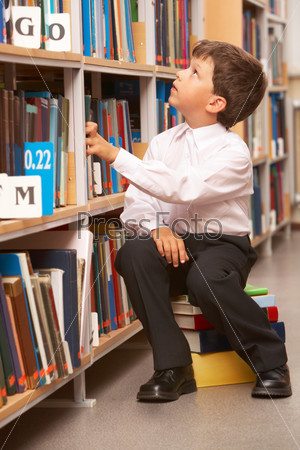 Portrait of diligent schoolboy looking at bookshelf in the library