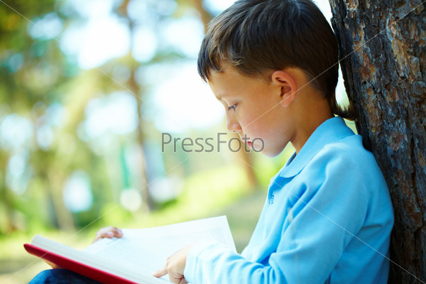 Portrait of smart boy sitting by tree trunk in the park and reading book, stock photo
