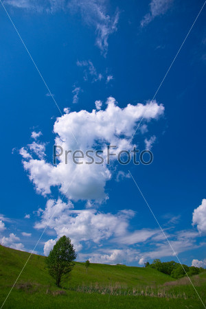 Tree in the meadow under cloudy sky, stock photo