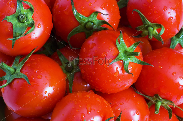 Wet whole tomatos arranged at the market