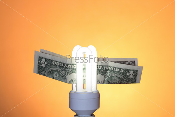 Energy saving compact fluorescent lightbulb and one dollar note on ginger background