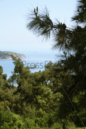 Green forest on background with blue sea and island, stock photo