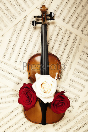 Скрипка с нотами и розами