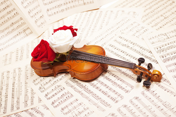 Старая скрипка и цветы роз крупным планом на нотных листах