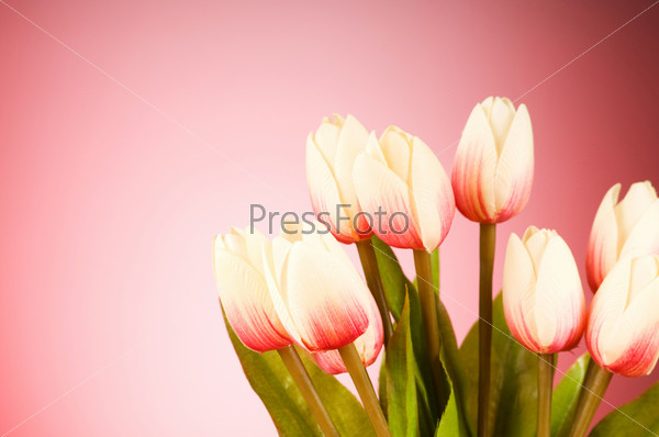 Bunch of tulip flowers on the table, stock photo