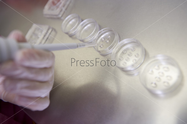 Embryologist preparing cultures in laboratory, stock photo