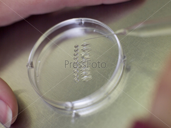 Embryologist putting sample into petri dish (selective focus)