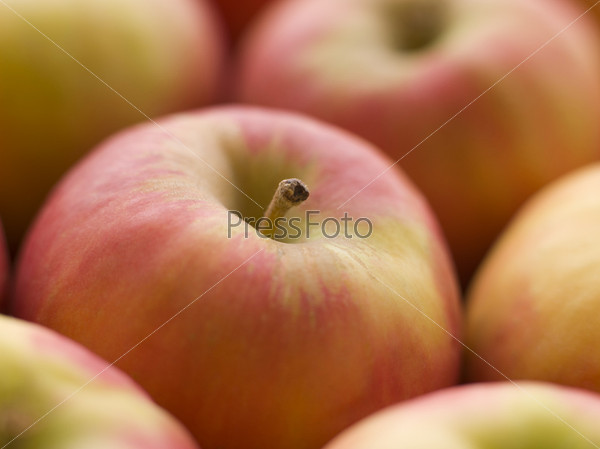 Розовые спелые яблоки крупным планом