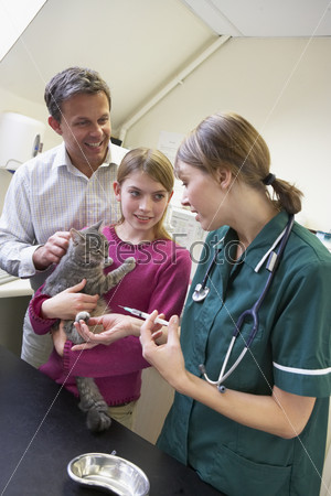 Girl And Father Taking Cat For Examination By Vet