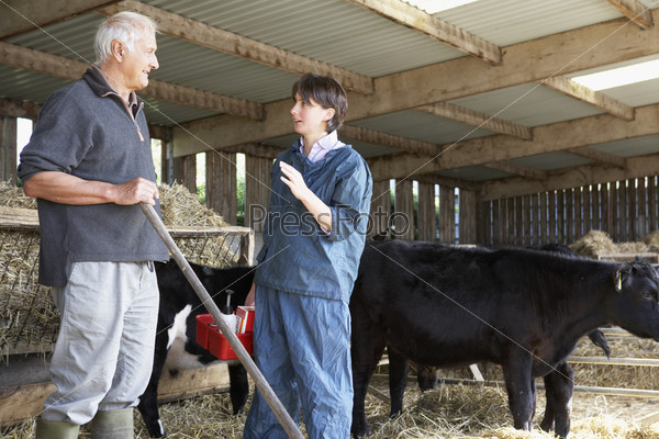 Farmer Having Discussion With Vet