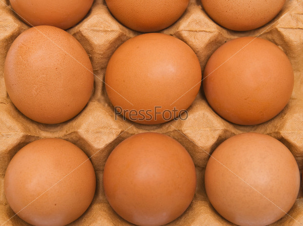 Background from eggs in carton box. Closeup