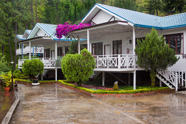 Hotel villas in pine forest under tropical rain