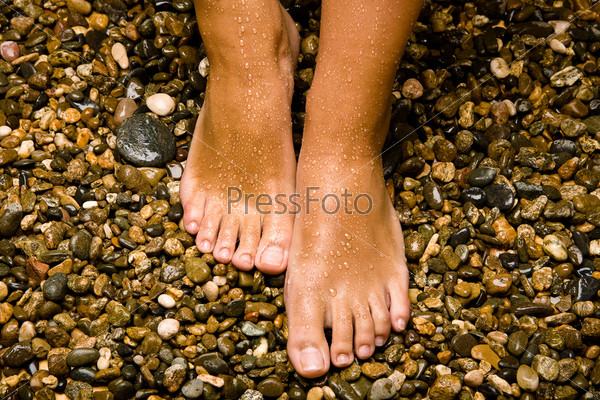 bronzed wet feet on stones