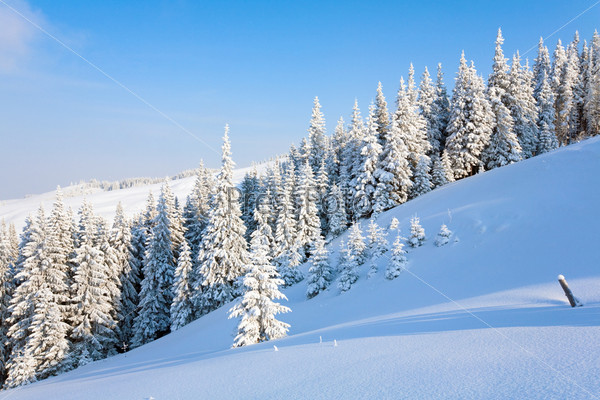 Зимний горный пейзаж, Украина