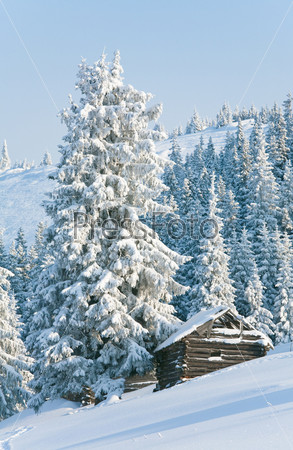 winter calm mountain landscape with shed (Carpathian Mountains, Ukraine)