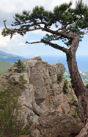 view of Yalta city from slope of Aj-Petri Mount (trail Botanical, Crimea, Ukraine)