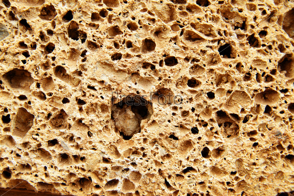 Porous stone texture close-up, may be used as background