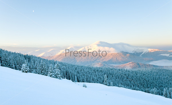 Sunrise and winter rime and snow covered fir trees on mountainside. View from Kukol Mount.  (Carpathian Mountains, Ukraine)