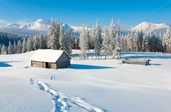 winter calm mountain landscape with shed and mount ridge behind (Carpathian Mountains, Ukraine)