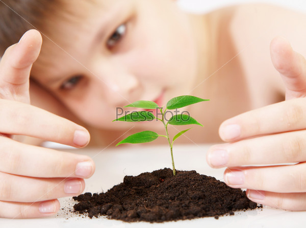 The boy observes cultivation of a young plant