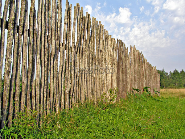 old fence on green field