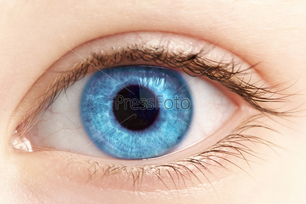 Глаз человека голубого цвета крупным планом