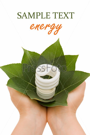 Hand holding compact spiral-shaped fluorescent lamp in hand isolated on the white background