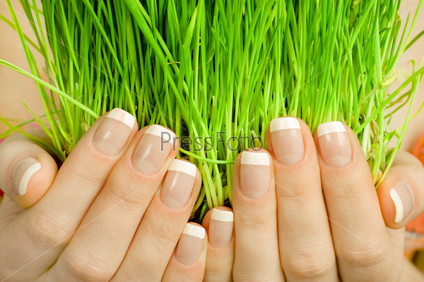 Зеленая трава в женских руках крупным планом