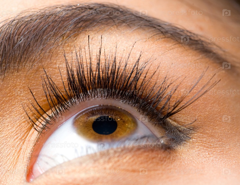 women eye close up with long eyelashes